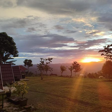Bugo Camp Glamping & Natural Activity Munduk Εξωτερικό φωτογραφία